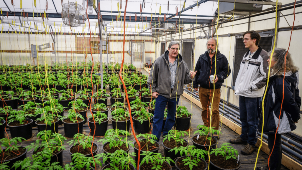 Greenhouse-Tour-1-min.png